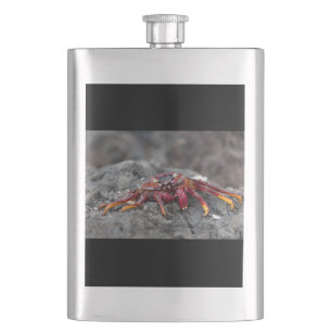 Cantil Caranguejo-rocha-vermelha