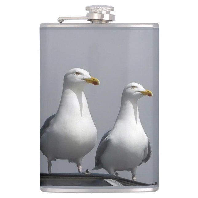 Cantil Casal Excêntrico de Gaivotas Sr e Sra Gully Ficam  (Frente)