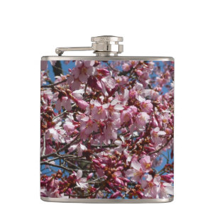 Cantil Cherry Blossoms e Blue Sky Primavera Floral