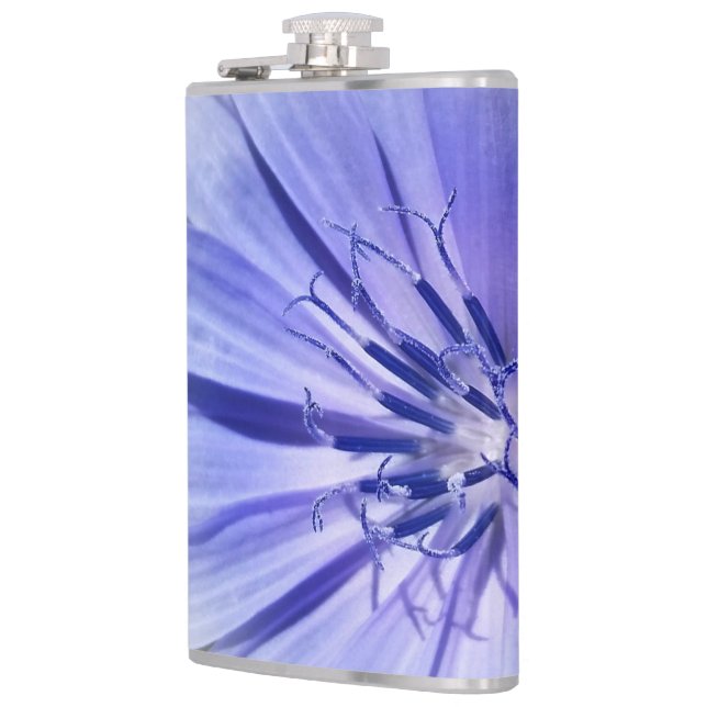 Cantil chicória azul roxa (Esquerda)