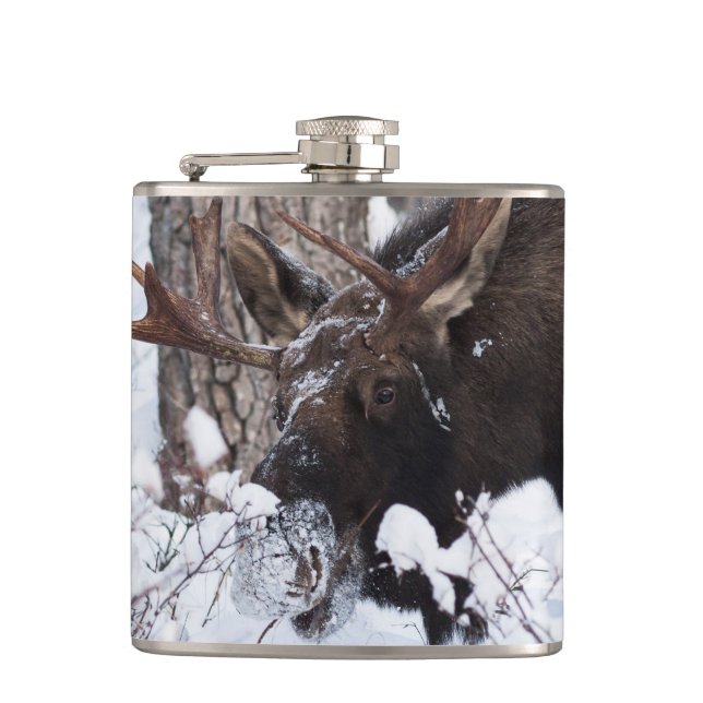 Cantil Chilly Moose (Frente)