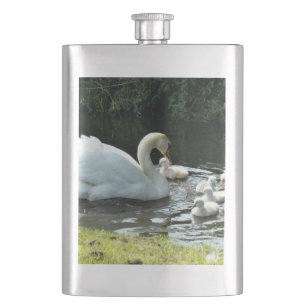 Cantil Cisne branco com Pintinhos
