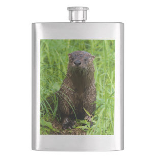 Cantil Clever River Otter