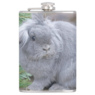 Cantil Coelho da cinza