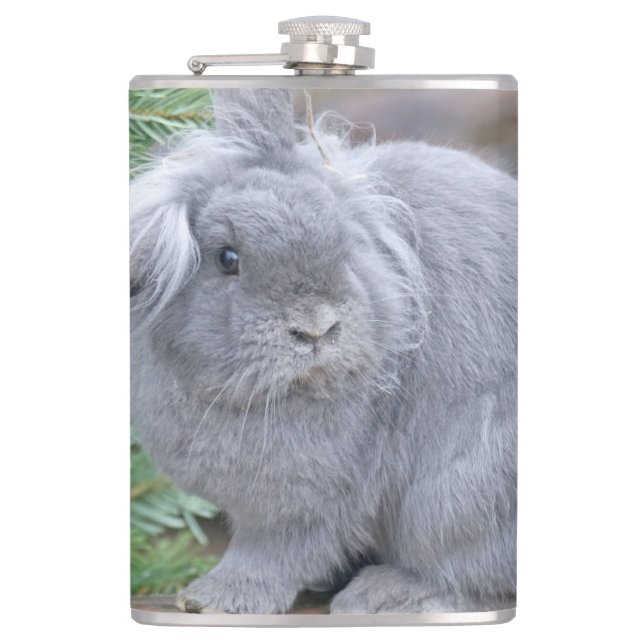 Cantil Coelho da cinza (Frente)