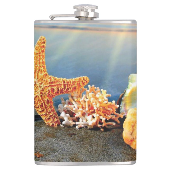 Cantil Conchas marítimas e estrelas-do-mar na praia (Frente)