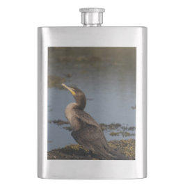 Cantil Cormorão de peito duplo