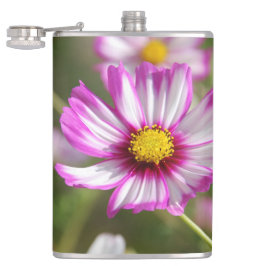 Cantil Cosmos rosa,Jardim de Algodão Rosalinde