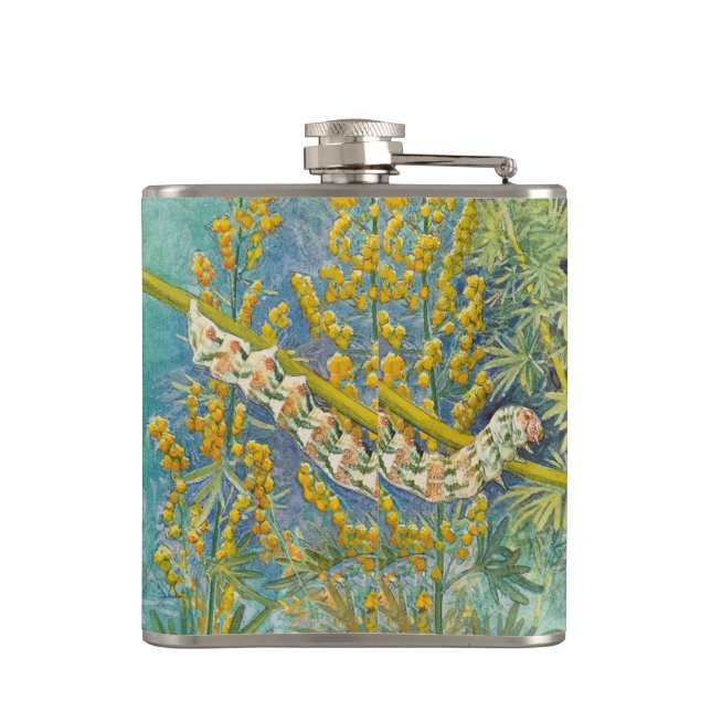 Cantil Cucullia Absinthii Wormwood Caterln (Verso)