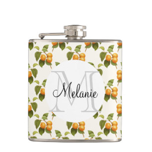 Cantil Desenho alaranjado da aguarela dos abricós do