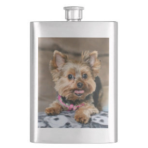 Cantil Dinâmico pequeno