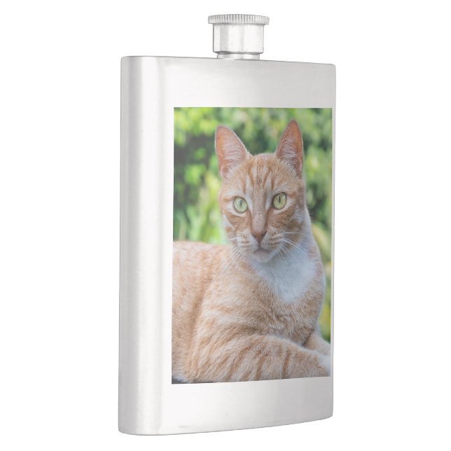 Cantil Doce gatinho (Direita)