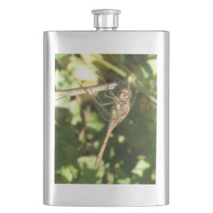 Cantil Dragonfly em um Twig Flask