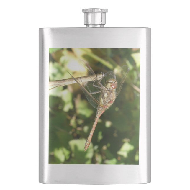 Cantil Dragonfly em um Twig Flask (Frente)