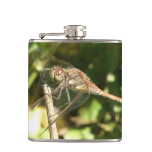 Cantil Dragonfly em um Twig Flask
