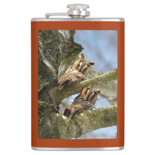 Cantil Duas corujas nos bosques, aves, frasco da vida sel