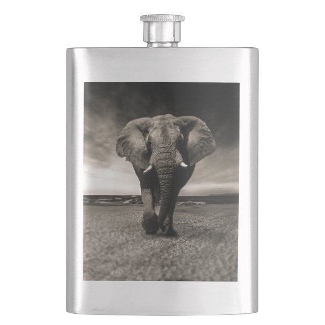 Cantil Elefante na Corrida (Frente)