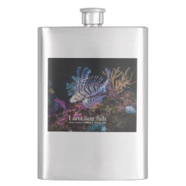 Cantil Elegante Lionfish