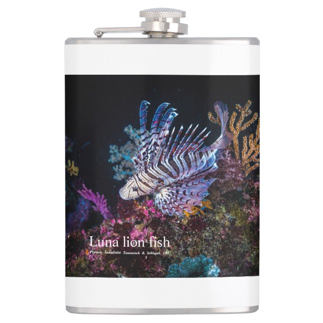 Cantil Elegante Lionfish (Frente)
