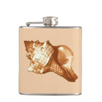 Esboço da concha - castanho, branco e bronzeado