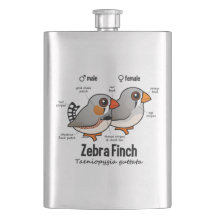 Estatísticas do passarinho de zebra