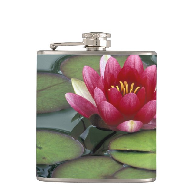 Cantil EUA, Estado de Washington, Seattle. Lírio e (Frente)