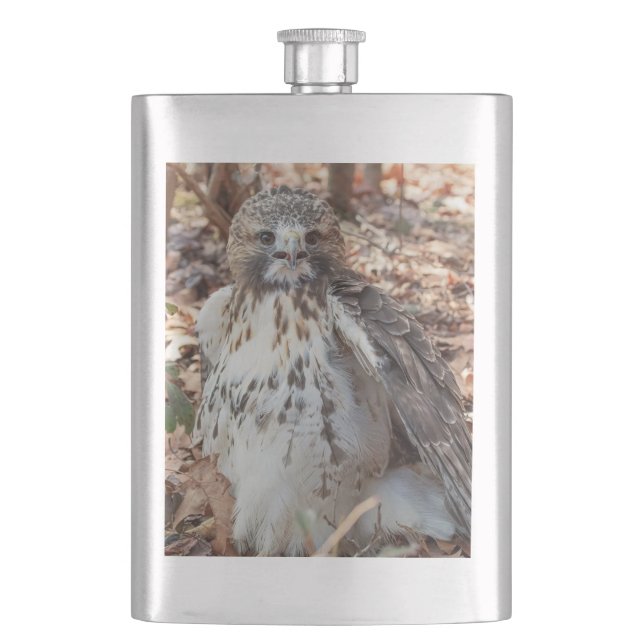 Cantil Falcão atado vermelho (Frente)