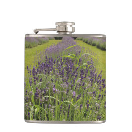 Cantil Fazenda Seafoam Lavender