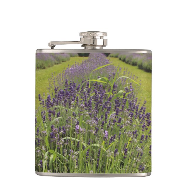 Cantil Fazenda Seafoam Lavender (Frente)