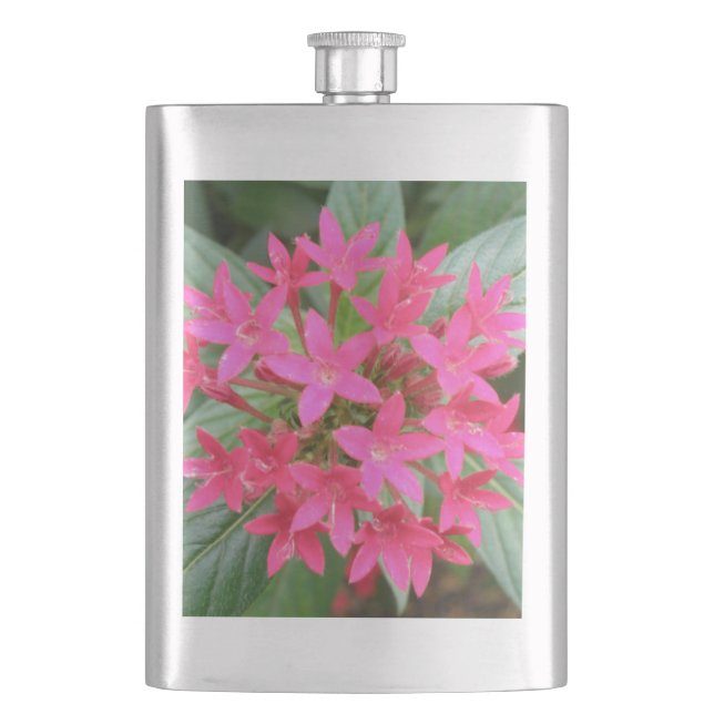 Cantil Flarete Tropical Rosa Brilhante (Frente)