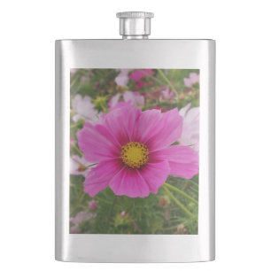 Cantil Flor de Cosmos Rosa bonito