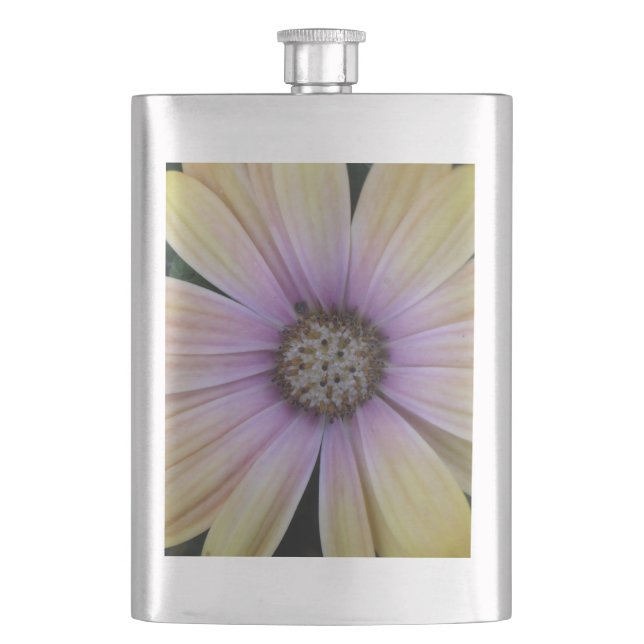 Cantil Flor de margarida amarela e púrpura (Frente)
