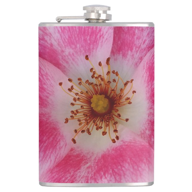 Cantil flor rosa brilhante (Frente)