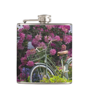 Cantil Floração de primavera espetacular, antiquado capri