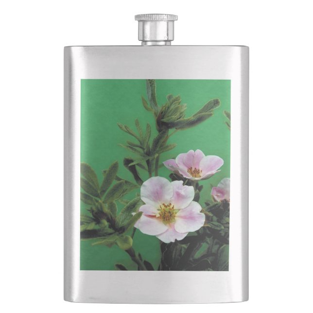 Cantil flores silvestres de rosa rosa em verde. (Frente)