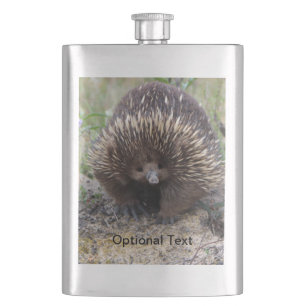 Cantil Foto de animal Echidna Cute, australiana