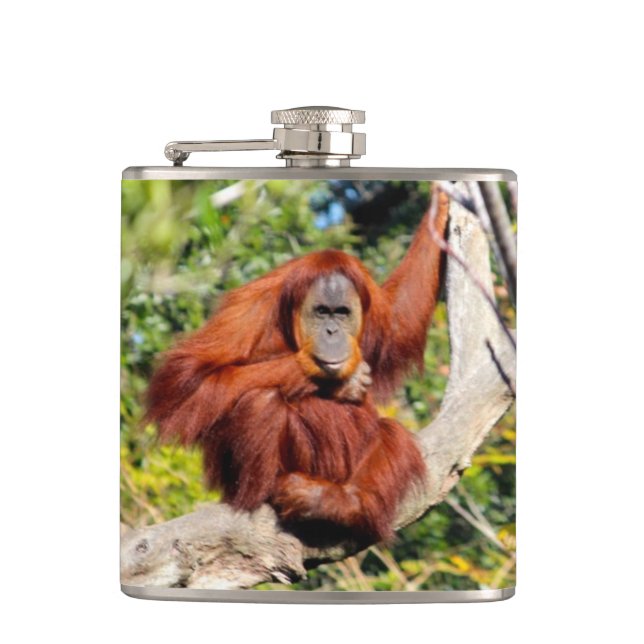 Cantil Foto do orangotango (Frente)