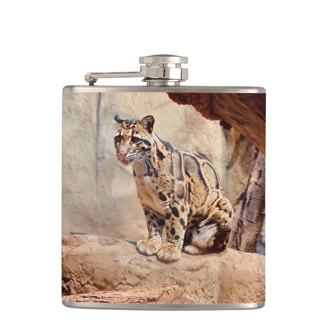 Cantil foto-leopardo nublada natureza vida selvagem exóti (Frente)