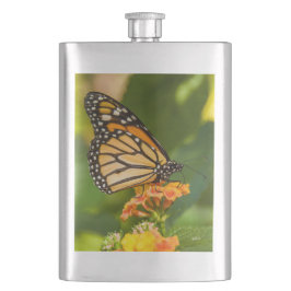 Cantil fotografia de uma borboleta sobre uma flor