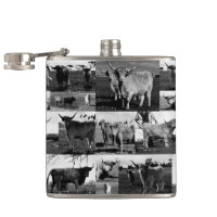 Fotografia de Vaca Preta-Branca, Frasco da anca