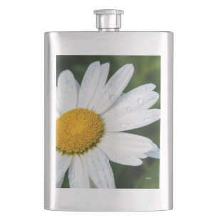 Cantil fotografia, um margueritte, fazem verde