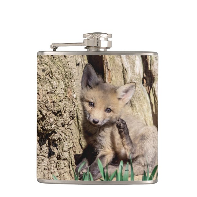 Cantil Fox Kit no Vale do Hudson (Frente)