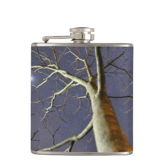 Cantil Frasco_Árvore_Estelar