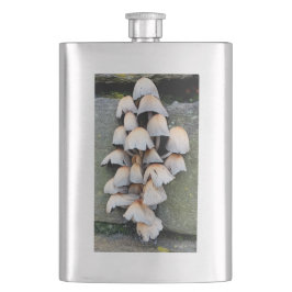 Cantil Fungi