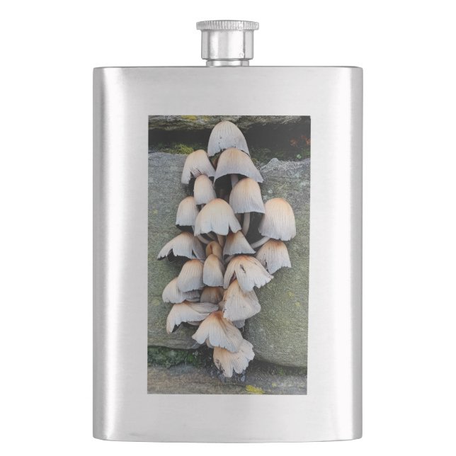 Cantil Fungi (Frente)