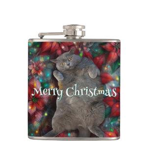 Cantil Gatinho de gato-do-mato-curto britânico em Poinset