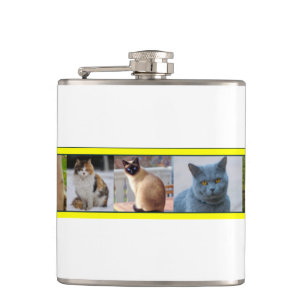Cantil Gatinhos em todos os lugares