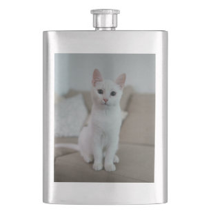 Cantil Gato branco Zazzle_Growth.