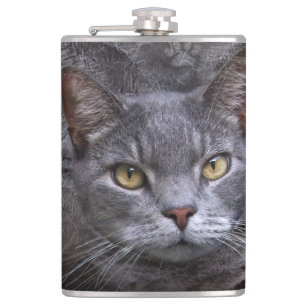 Cantil Gato cinzento