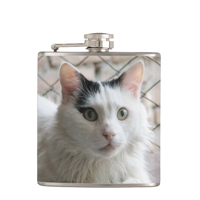 Cantil gato van turco (Frente)